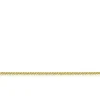 9ct Yellow Spiga Chain Necklace