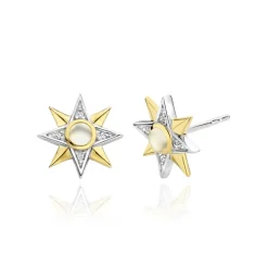 TI SENTO MILANO Earrings