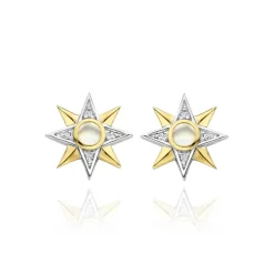 TI SENTO MILANO Earrings