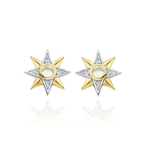 TI SENTO MILANO Earrings
