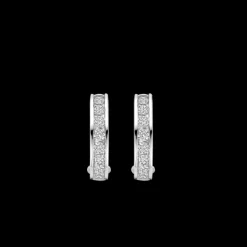 TI SENTO MILANO Earrings