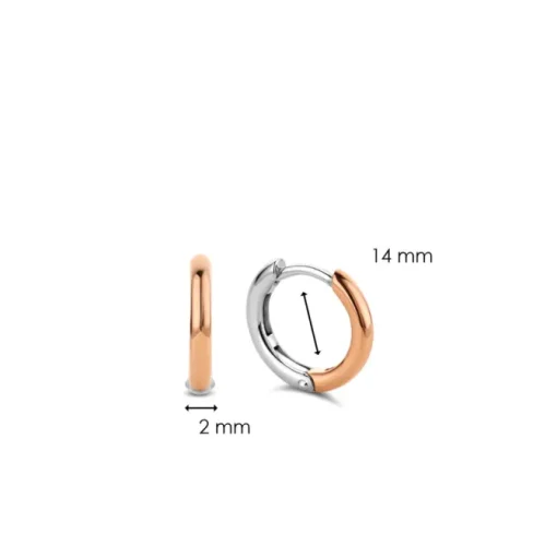 TI SENTO MILANO Earrings