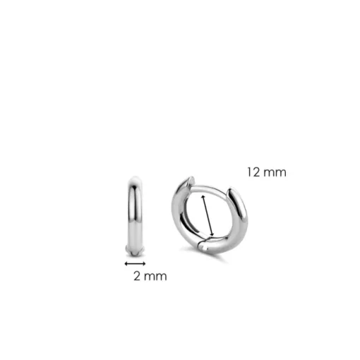 TI SENTO MILANO Earrings